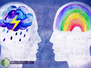 دوره همدلی، چگونه با یادگیری مهارت همدلی، روابط موفق‌تری داشته باشیم؟